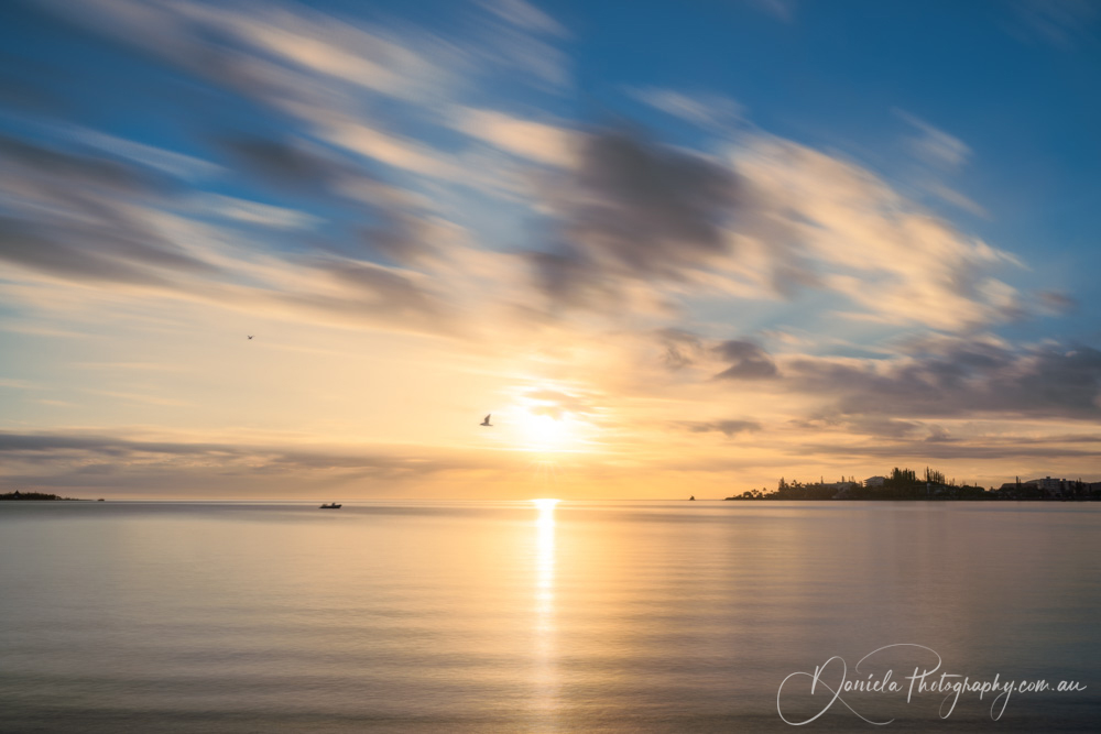 Anse Vata Bay New Caledonia -Birds Flying at Golden Hour